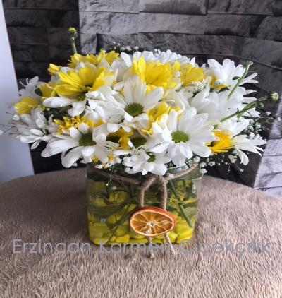 Erzincan Çiçekçi Kare Cam Vazoda Sarı & Beyaz Papatyalar