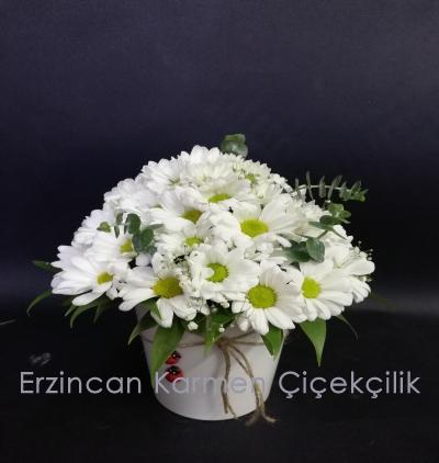  Erzincan Çiçekçiler Beyaz Papatya Aranjmanı