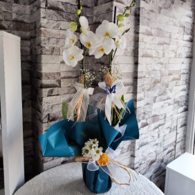  Erzincan Çiçek Çift Dal Beyaz Renk VIP Orkide 