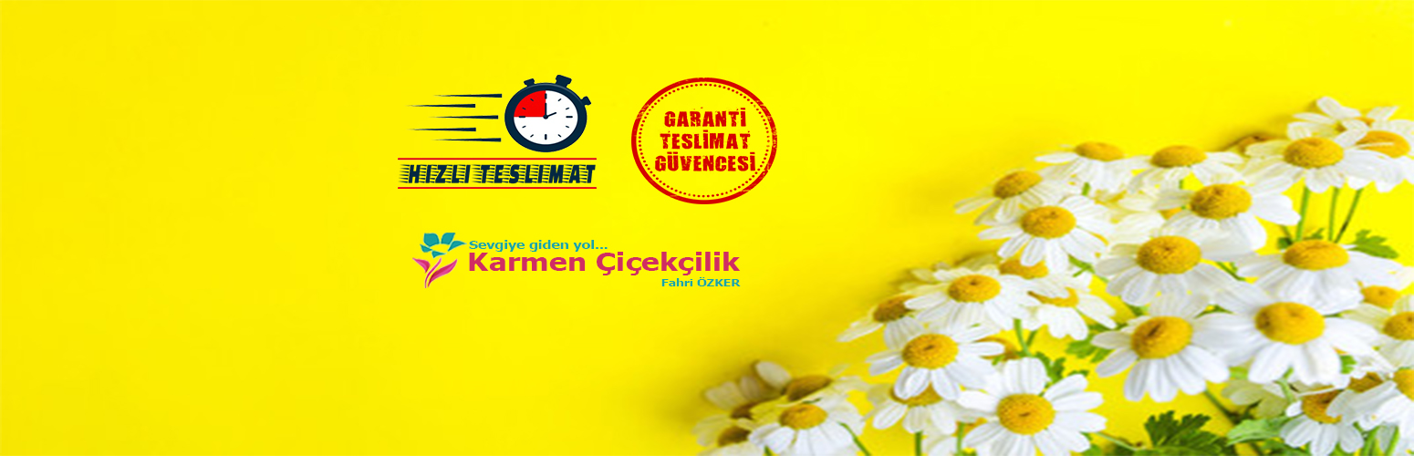 AYNI GÜN