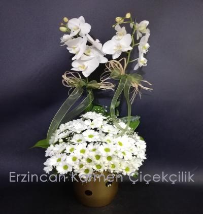  Erzincan Çiçekçiler puantiyeli vazoda çift dal beyaz orkide ve papatyalar
