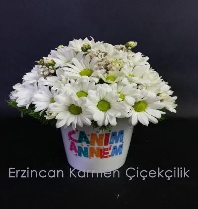 Erzincan Çiçekçiler Canım Annem Vazolu Beyaz Papatya Aranjmanı