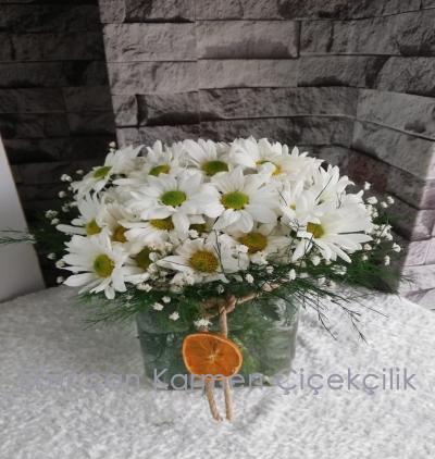  Erzincan Çiçek Gönder Kare Cam Vazoda Beyaz Papatyalar 