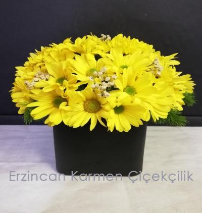 Erzincan Çiçekçi Siyah Kare Camda Sarı Papatya