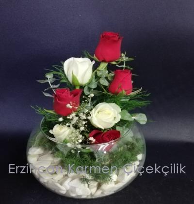  Erzincan Çiçek Gönder Akvaryum camda 7 adet kırmızı beyaz gül