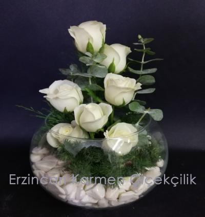  Erzincan Çiçek Akvaryum camda 7 beyaz gül