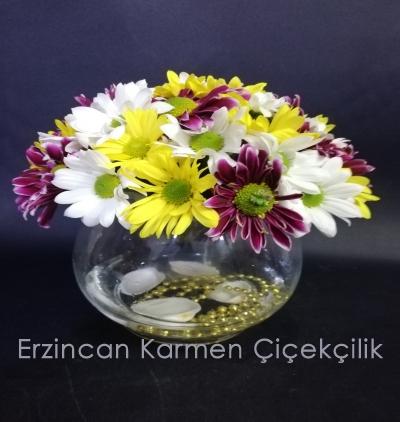  Erzincan Çiçekçiler Akvaryum camda renkli papatya