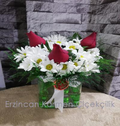  Erzincan Çiçek Siparişi Kare Camda Beyaz Papatyalar ve Üç Gül Aranjmanı