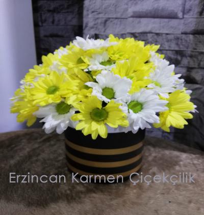  Erzincan Çiçek Gönder Gold Çizgili Vazoda Sarı & Beyaz Papatya Aranjmanı