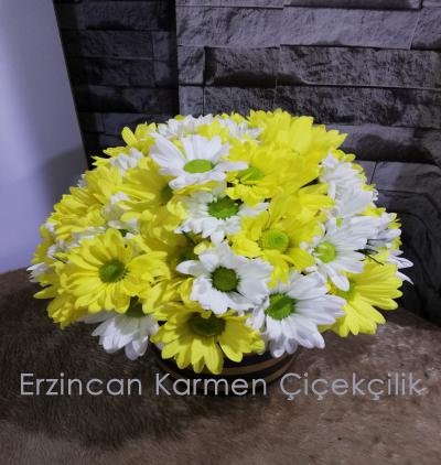  Erzincan Çiçek Gönder Gold Çizgili Vazoda Sarı & Beyaz Papatya Aranjmanı