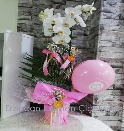 Erzincan Çiçekçi Hoş Geldin Kız Bebek Beyaz Orkide