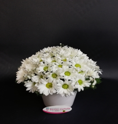  Erzincan Çiçek Siparişi Kişiye Özel Vazoda Beyaz Güzellik