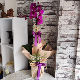  Erzincan Çiçek Gönder Tek Dal Mor Orkide