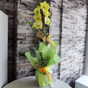 Erzincan Çiçekçi Tek Dal Sarı Renk Orkide