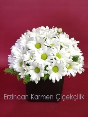  Erzincan Çiçek Siparişi - KIRMIZI TENEKE KUTU 330 GR
