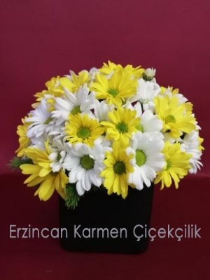  Erzincan Çiçek Gönder - Siyah Kare Camda Sarı & Beyaz Papatya