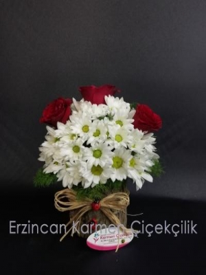  Erzincan Çiçek Gönder - Kütükte Papatya ve Güller