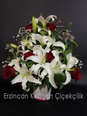  Erzincan Çiçek - Gül ve Lilyumlar