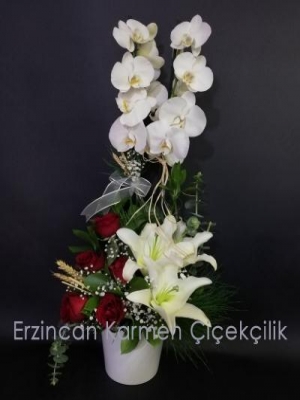  Erzincan Çiçek Gönder - Çift Dal Beyaz Orkide Kırmızı Gül & Beyaz Lilyum