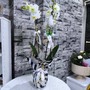  Erzincan Çiçekçiler - Çift Dal Beyaz Renk VIP Orkide -3