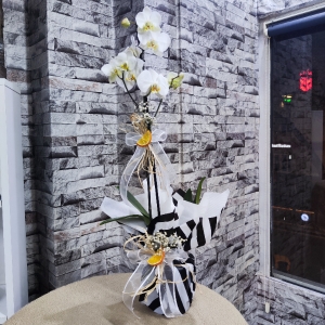 Erzincan Çiçekçi - Tek Dal Beyaz Orkide